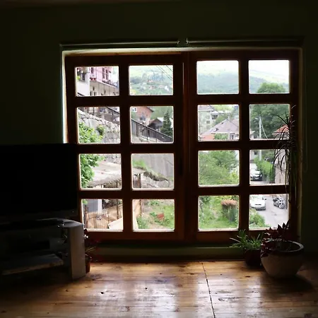 Alim Travnik
